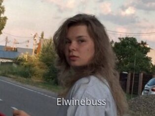 Elwinebuss