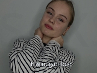 Elwinegambee
