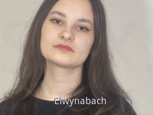 Elwynabach