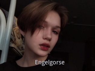 Engelgorse