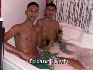Erikandjuandy