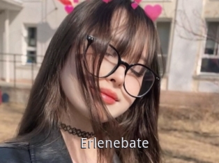 Erlenebate