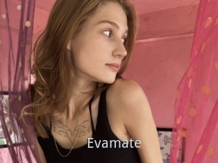 Evamate