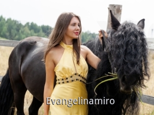 Evangelinamiro