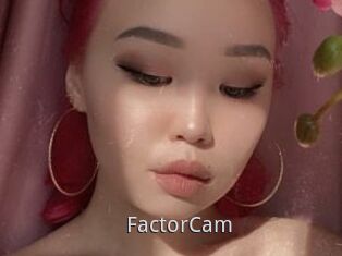 FactorCam