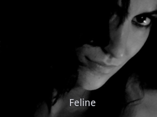 Feline