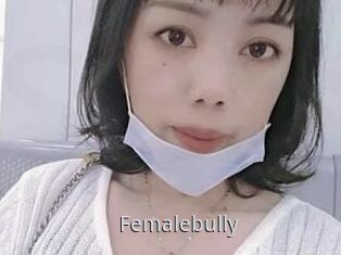 Femalebully