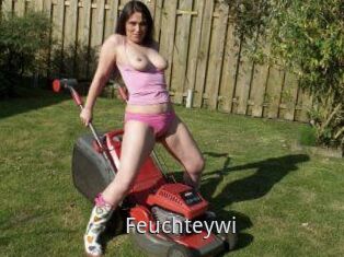Feuchteywi
