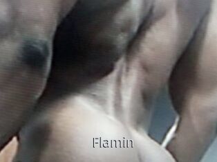 Flamin