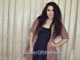 FlowerOftheRose