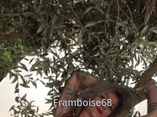 Framboise68