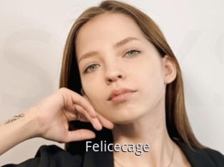 Felicecage