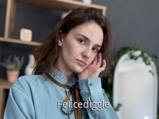 Felicediggle