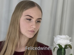 Felicedwinell