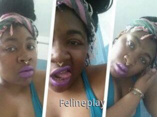 Felineplay