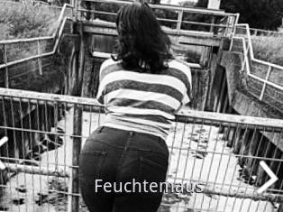 Feuchtemaus