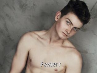 Foxterr
