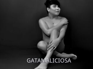 GATAMALICIOSA