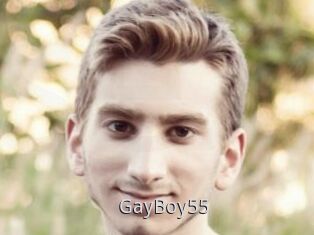 GayBoy55
