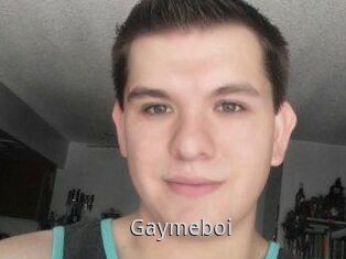 Gaymeboi