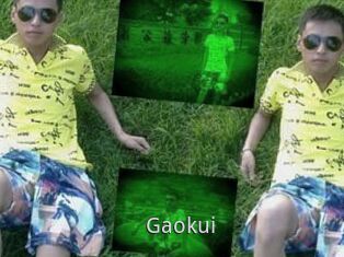 Gaokui