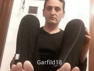 Garfild18
