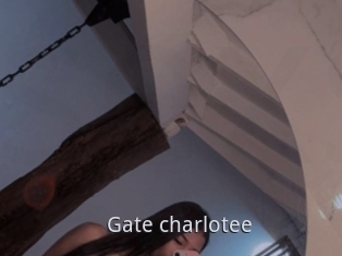 Gate_charlotee