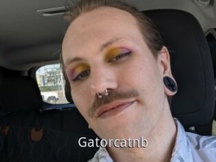 Gatorcatnb