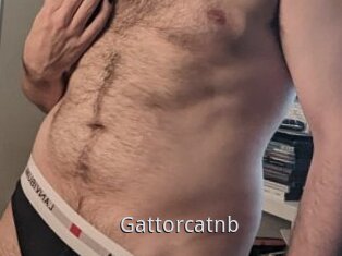 Gattorcatnb