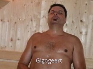 Gigogeert