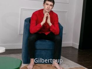 Gilbertpup