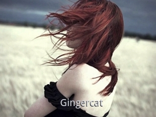 Gingercat