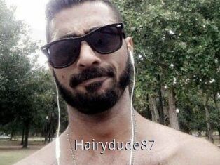 Hairydude87