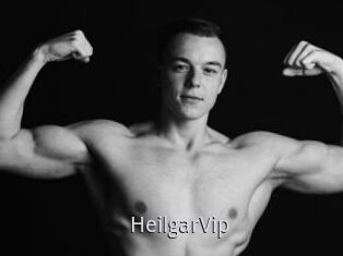 HeilgarVip
