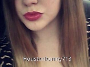 Houstonbunny713