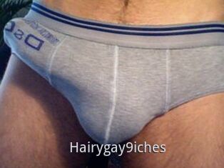 Hairygay9iches