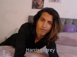 Harrisongrey
