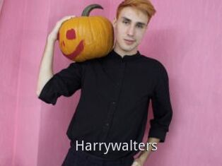 Harrywalters