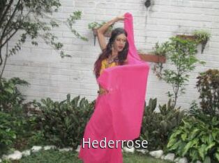 Hederrose