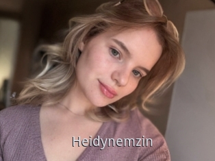 Heidynemzin