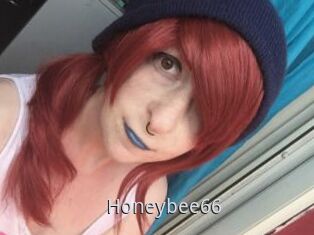 Honeybee66