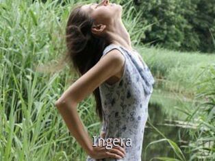 Ingera