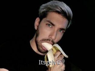Itsgelviz