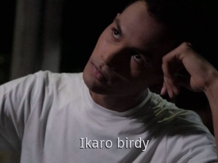 Ikaro_birdy