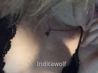 Indicawolf