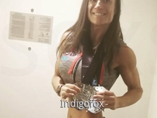 Indigofox