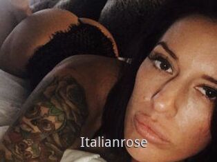 Italianrose