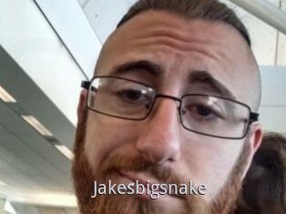 Jakesbigsnake