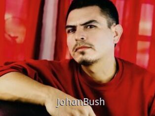 JohanBush