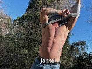 Jackal